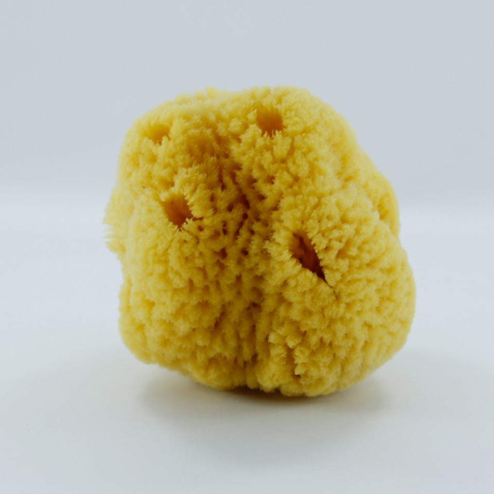 Doğal Deniz Süngeri